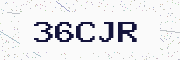 verification characters